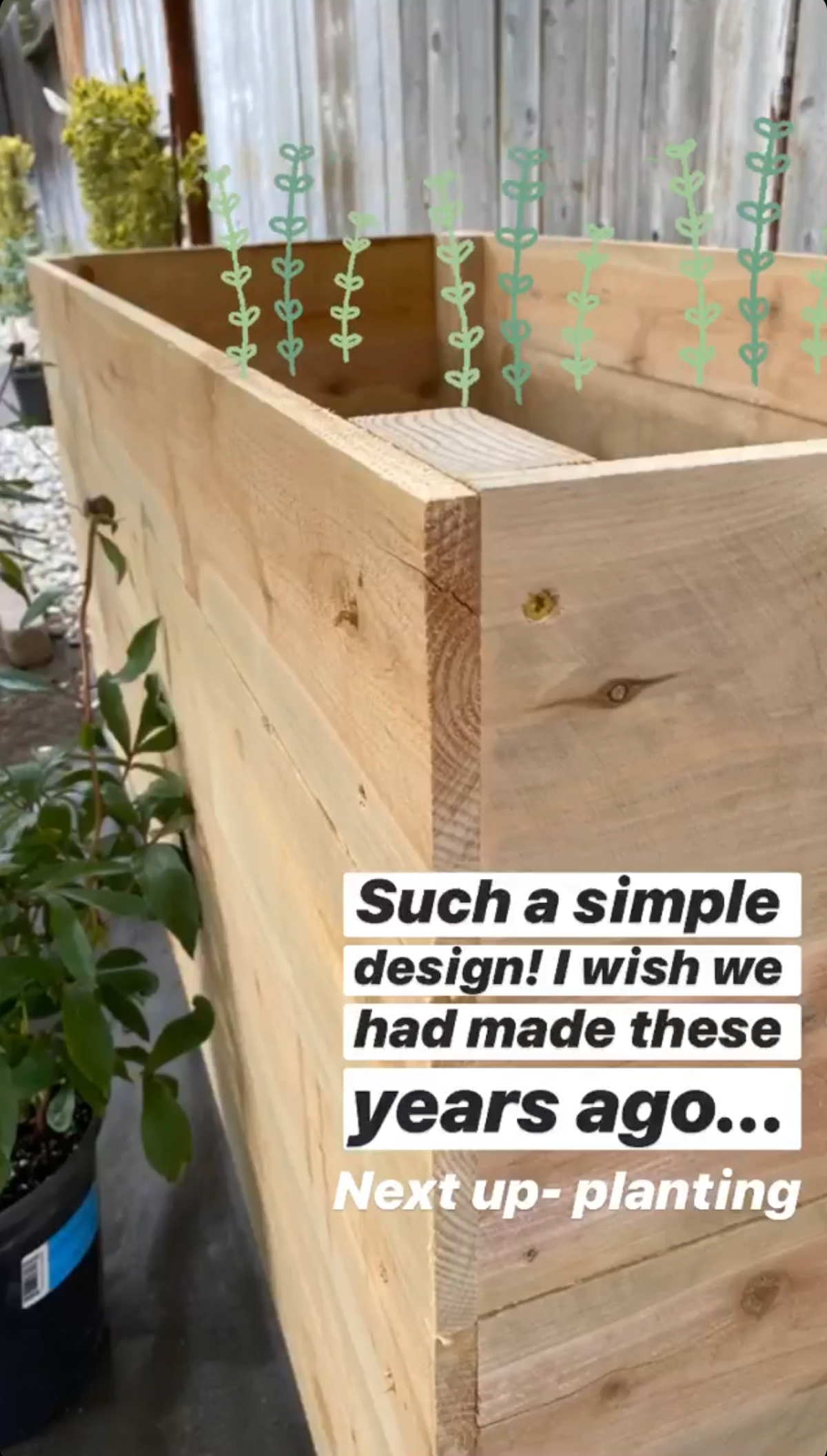 Simple DIY outdoor project garden beds that are waist high from wood